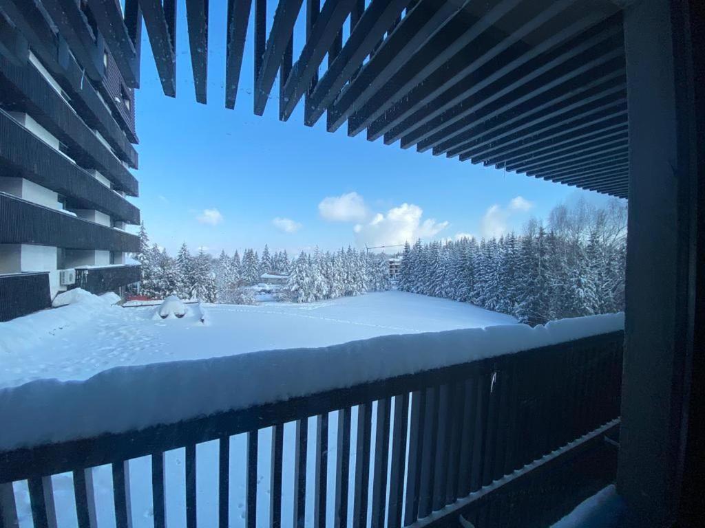 Apartment Alpin Poiana Ace 2405 - Private *